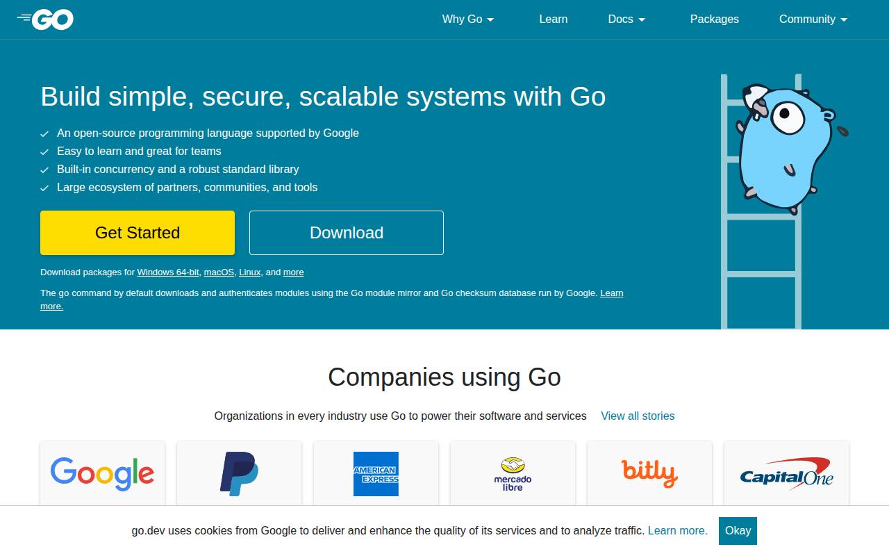 Screenshot of golang.org