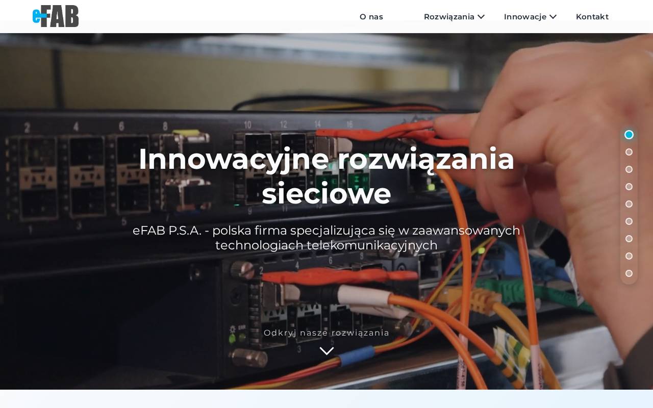 Screenshot of efab.pl