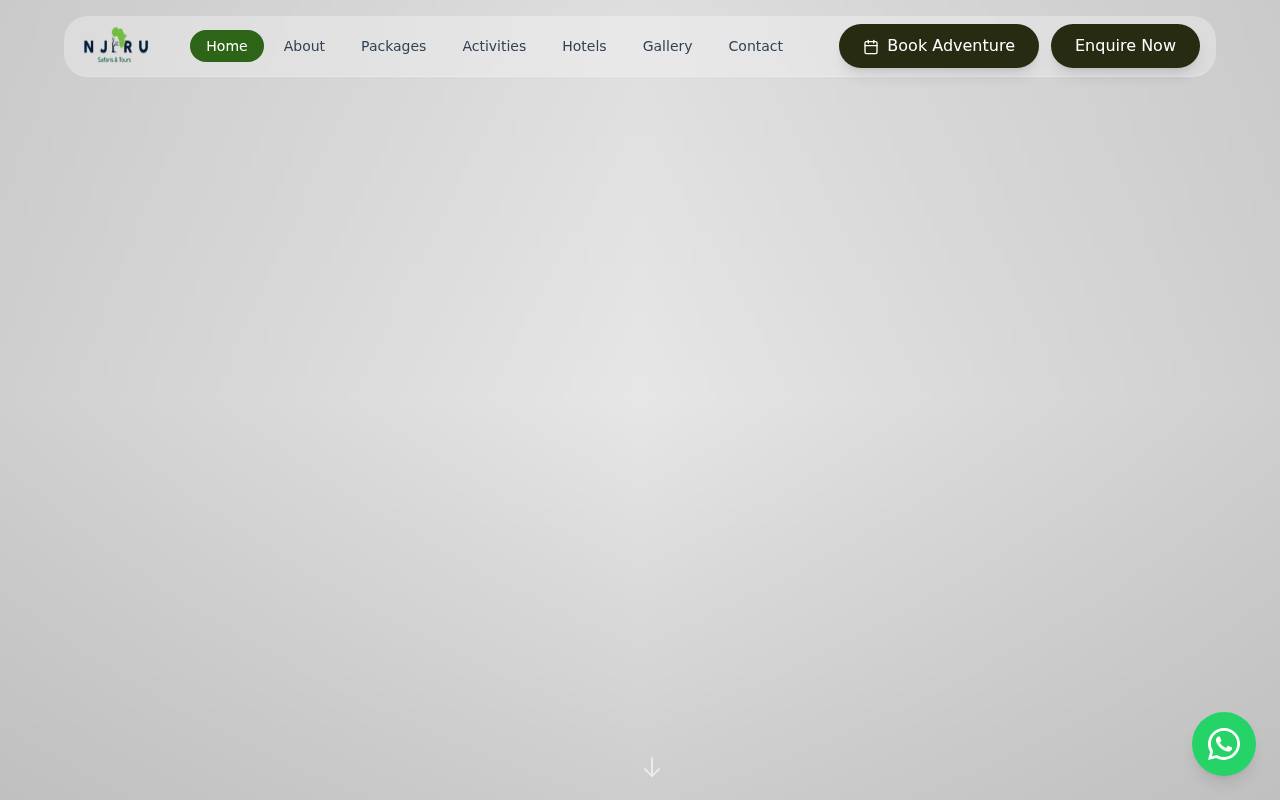 Screenshot of njirusafarisandtours.com