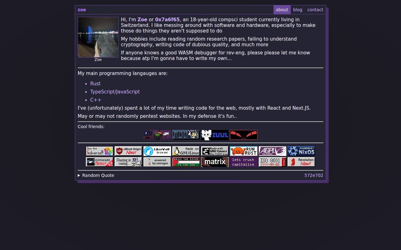 Screenshot of bytewit.ch