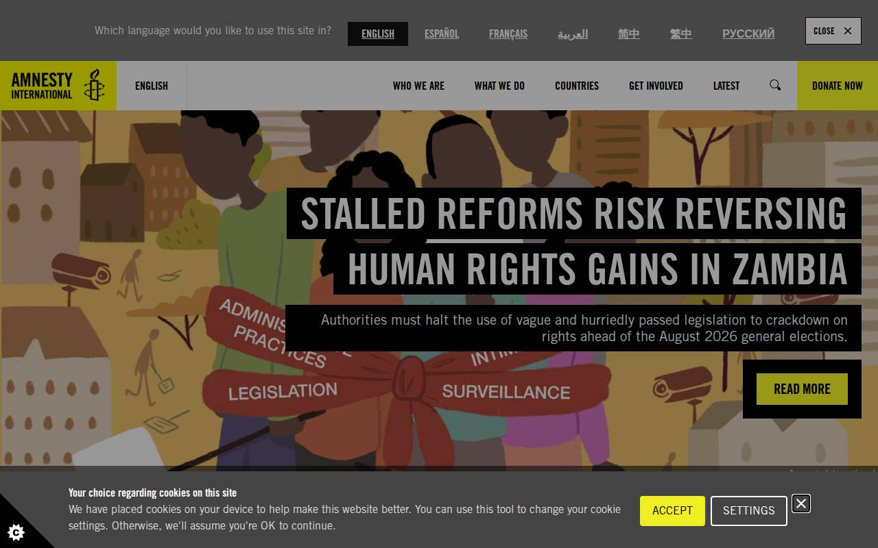 Screenshot of amnesty.org