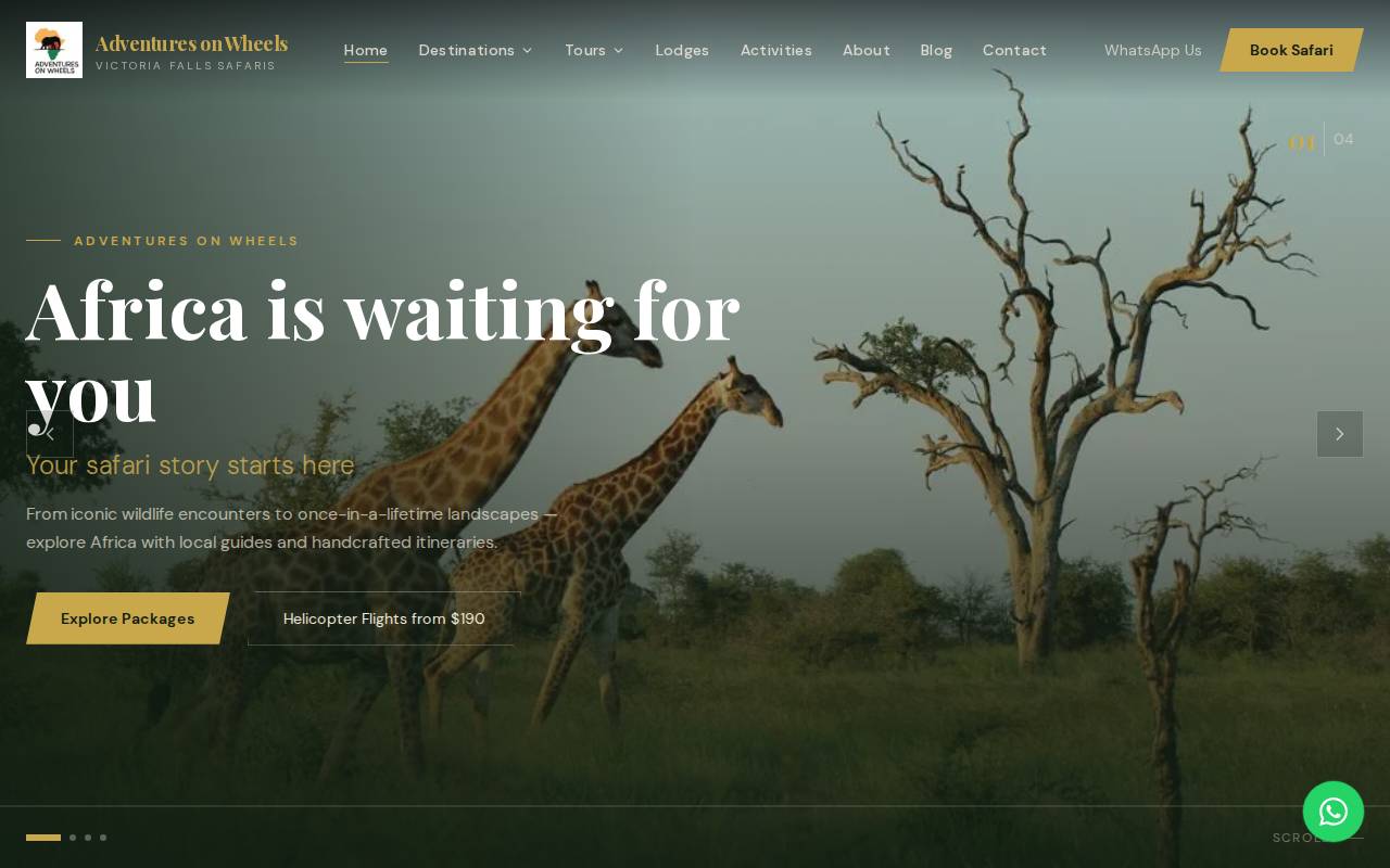 Screenshot of aow-africa.com
