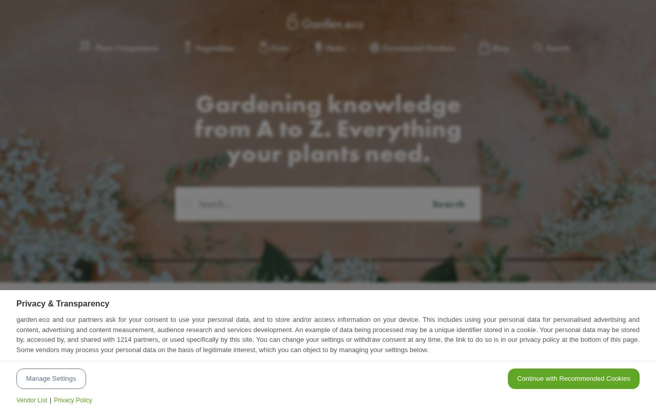 Screenshot of garden.eco
