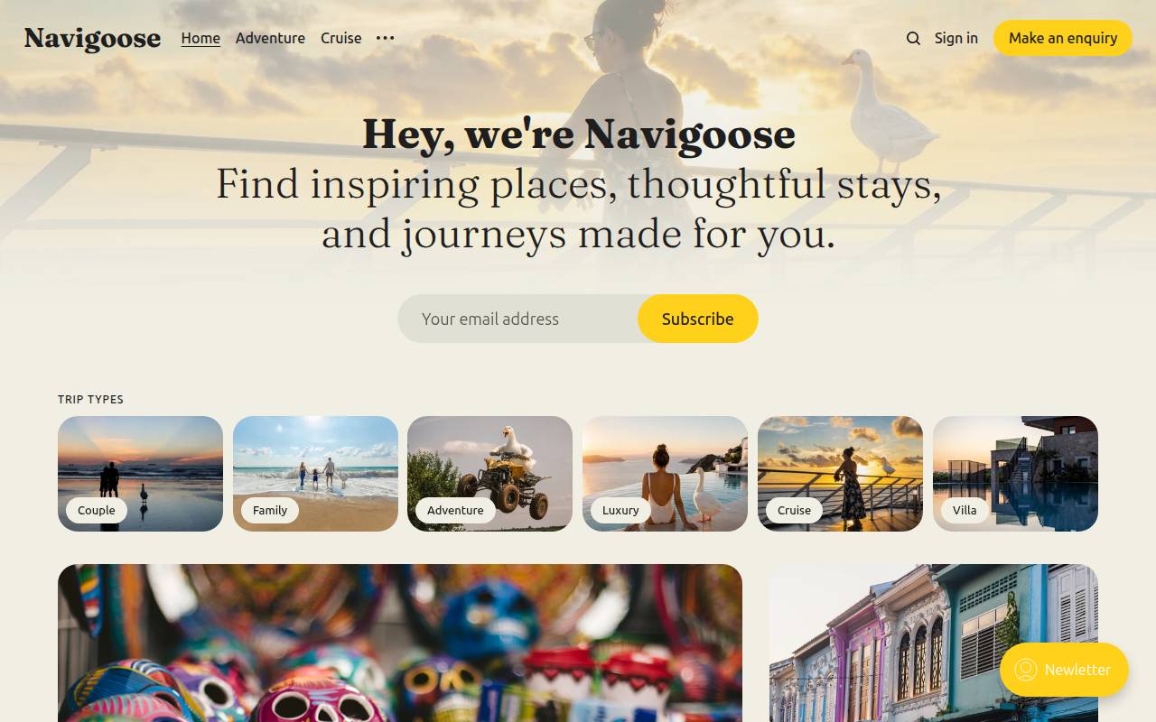 Screenshot of navigoose.com
