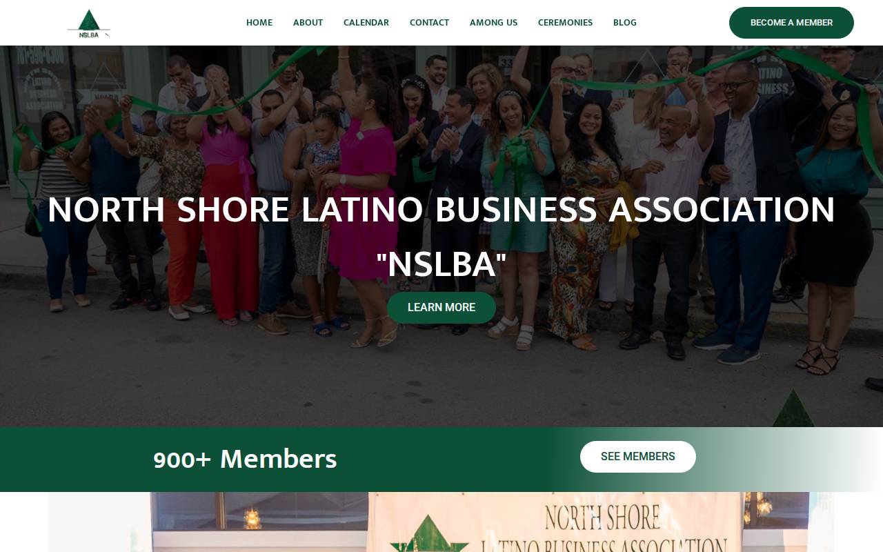 Screenshot of mynslba.com