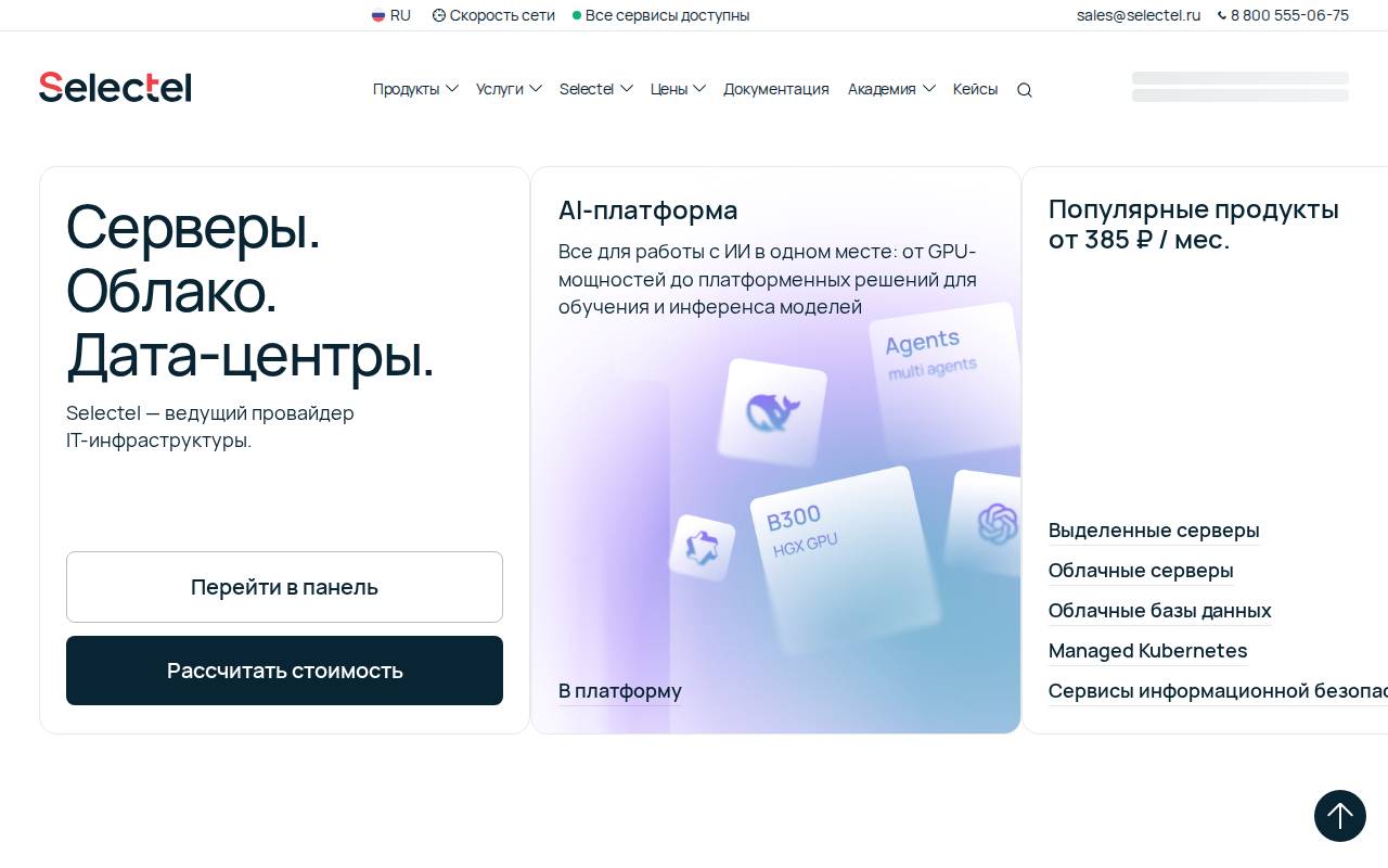 Screenshot of selectel.ru
