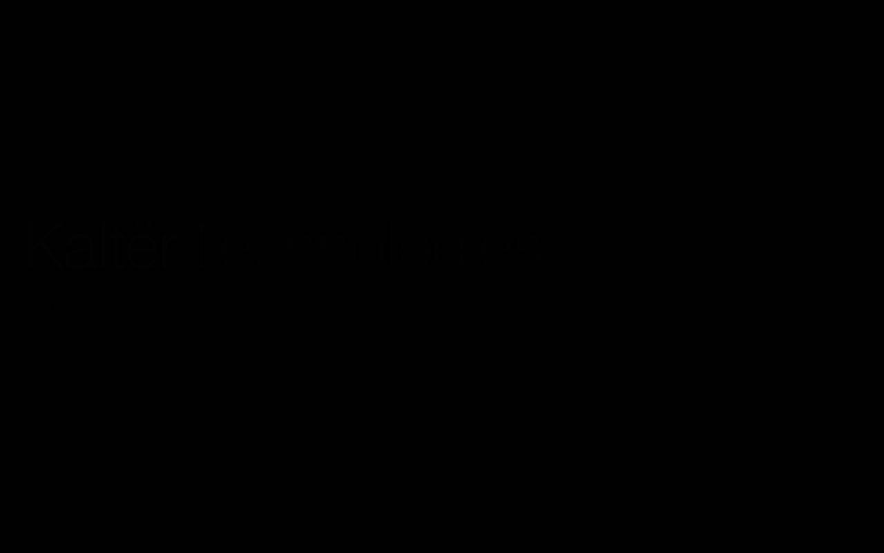 Screenshot of kalter.tech